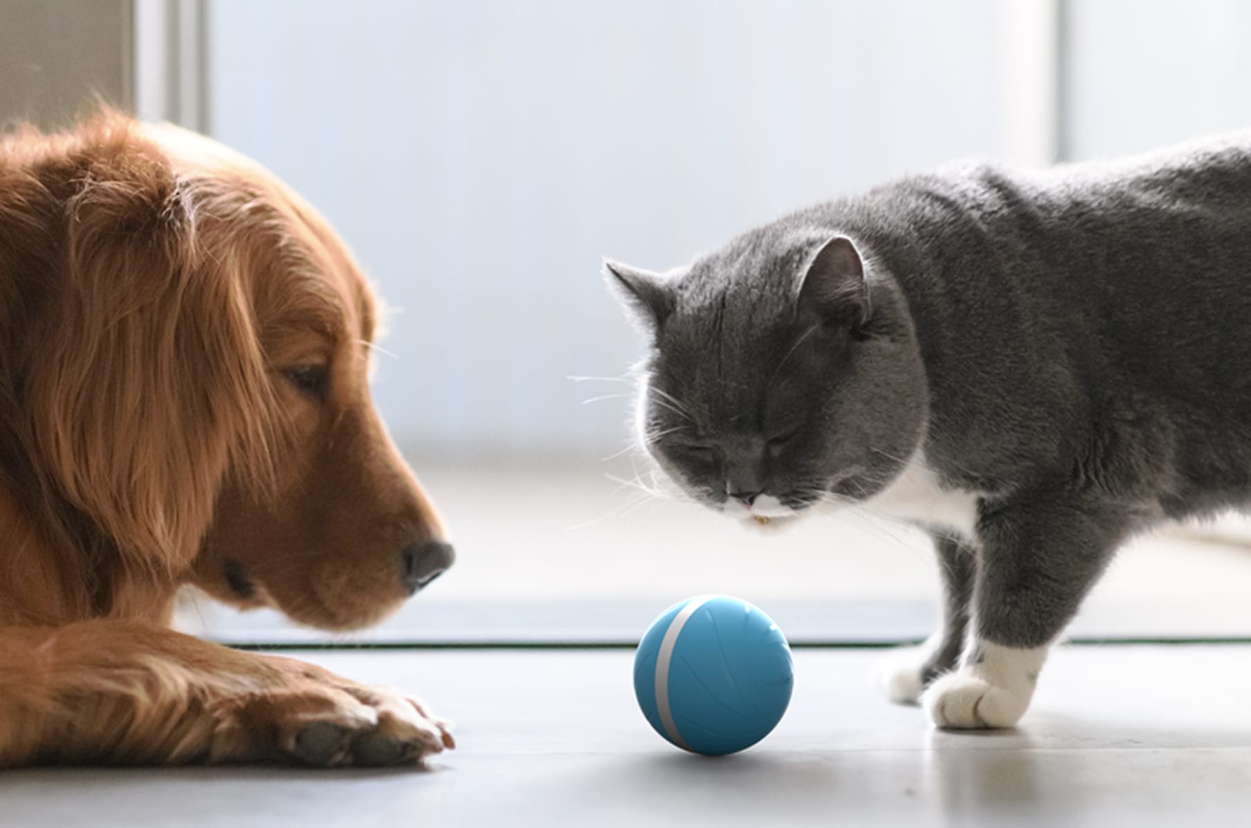 ลูกบอลสำหรับแมวร่าเริงสมาร์ท