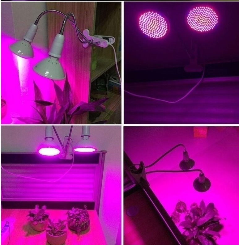 แสงประดิษฐ์สำหรับพืช