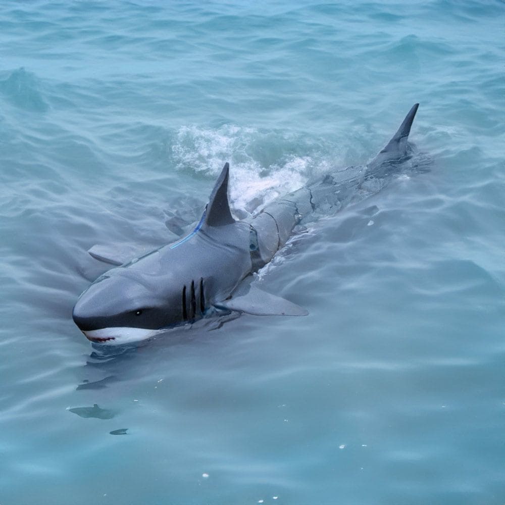 RC shark สำหรับควบคุมระยะไกลลงน้ำด้วยคอนโทรลเลอร์