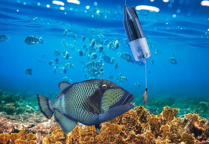 กล้องถ่ายปลาใต้น้ำ