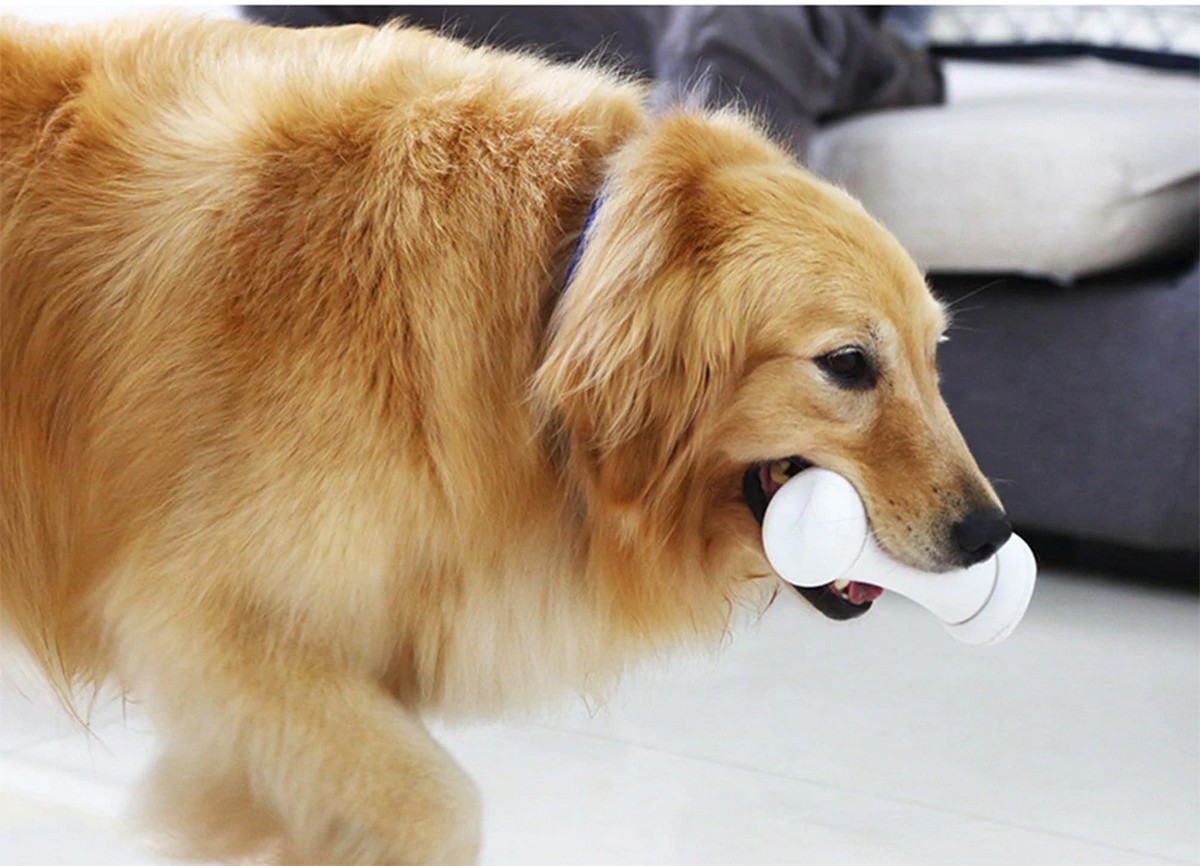 ของเล่นกระดูกอัจฉริยะสำหรับสุนัขกระดูกชั่วร้าย